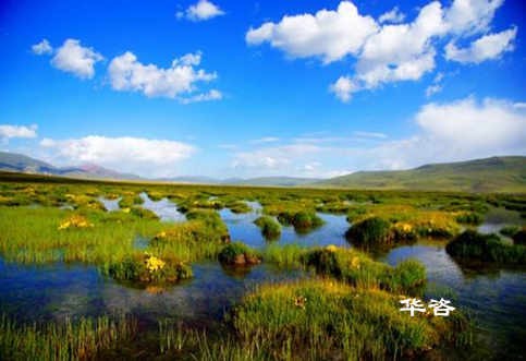長沙水土保持？湖南省水土保持編制專業(yè)公司_10年專注水土保持報告的編制。