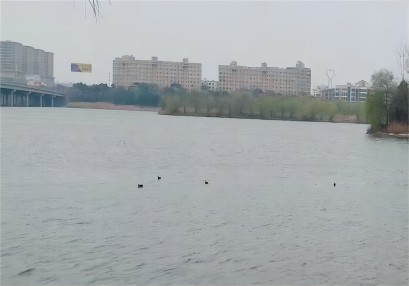 岳陽(yáng)航評(píng)案例，岳陽(yáng)通航安全保障方案，通航安全評(píng)估