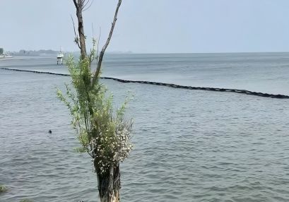 航評，邵陽市橋梁施工航道評價，通航安全保障方案編制